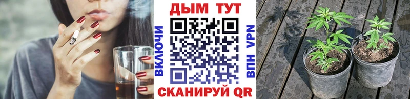 магазин продажи   Бологое  Бошки марихуана AK-47 